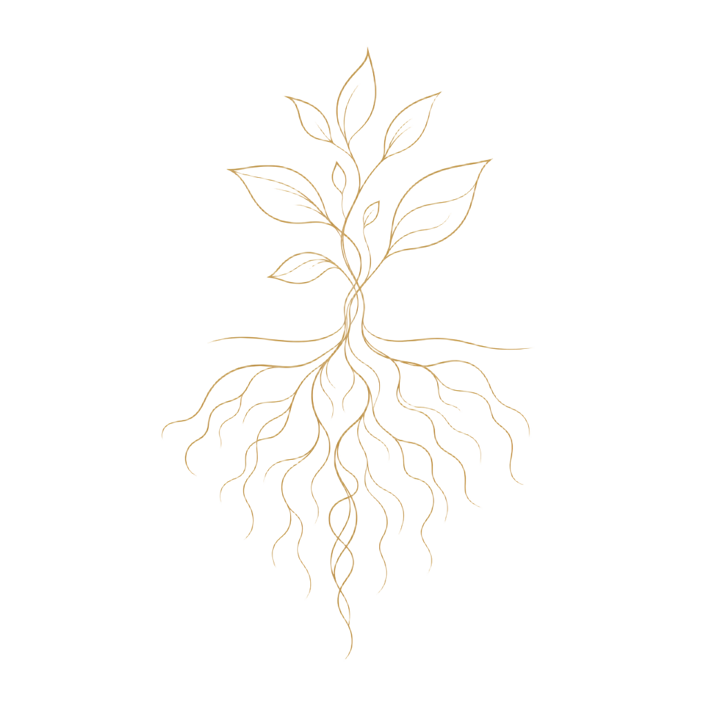 Fine line root illustration